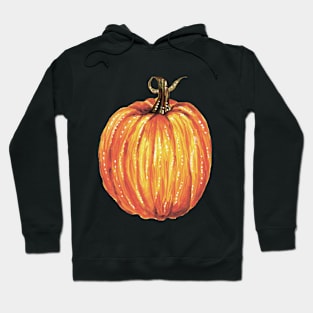 pumpkin Hoodie